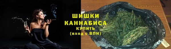 метадон Белокуриха