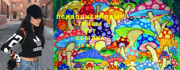 стаф Белоозёрский