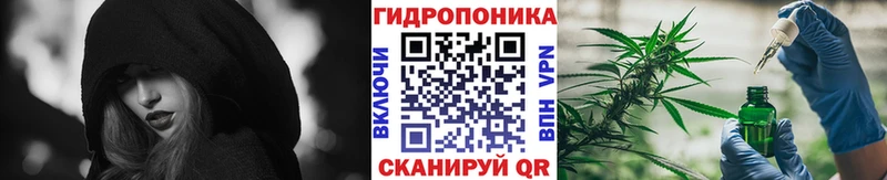 Бошки марихуана Ganja  Карачаевск 